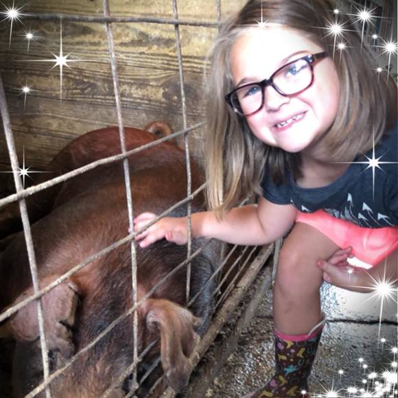 Meet your Posher, Beth ann - Picture 1 of 1